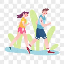 2025 赛季回顾：多伦多蓝鸟队在不被看好的情况下通过外卡赛一路杀入总决赛